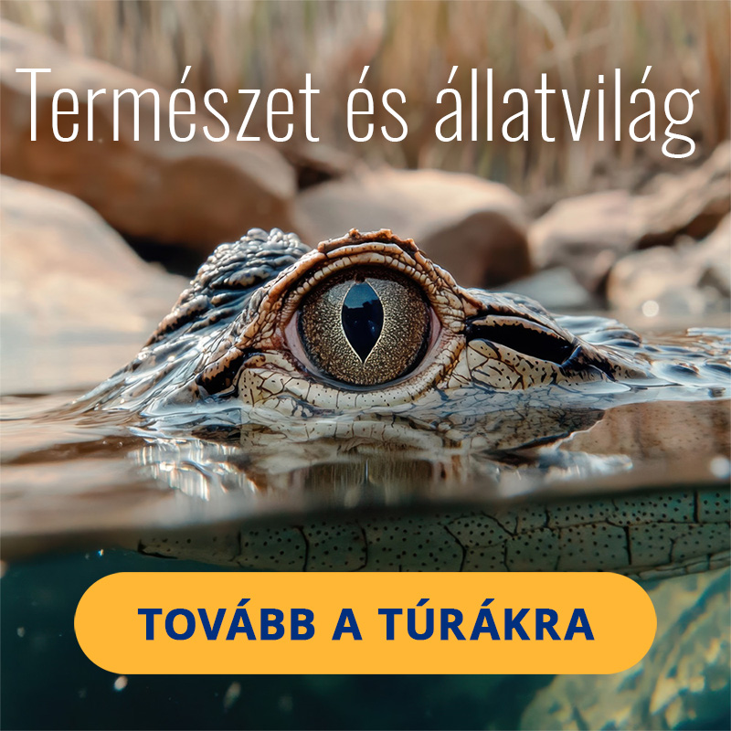 termeszet&allatvilag másolat